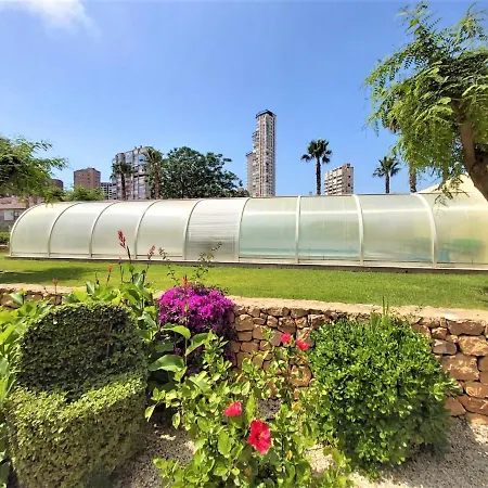 Gemelos 22-1-6 Apartment Benidorm